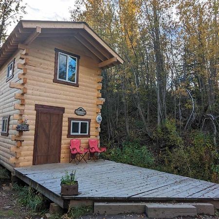 Blackburn Cabins - Mccarthy, Alaska Zewnętrze zdjęcie