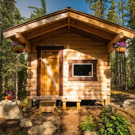 Blackburn Cabins - Mccarthy, Alaska Zewnętrze zdjęcie
