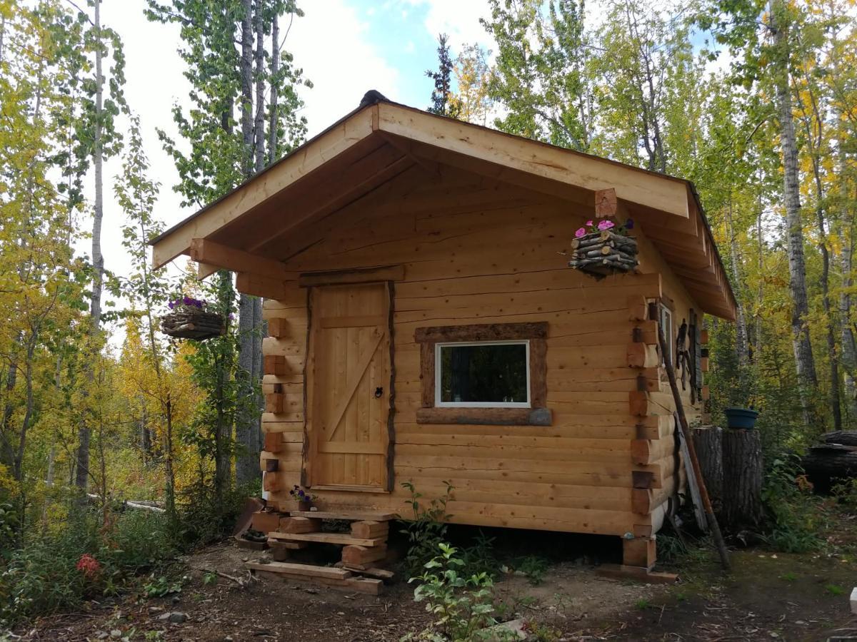 Blackburn Cabins - Mccarthy, Alaska Zewnętrze zdjęcie