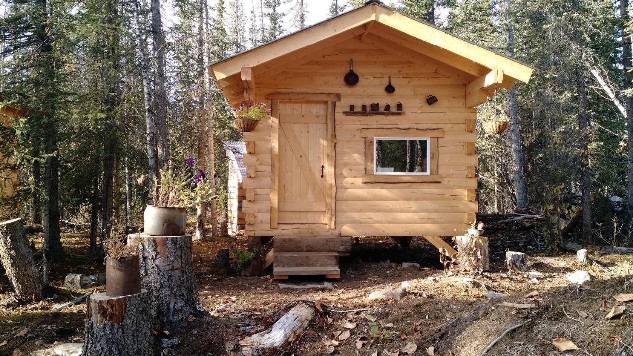 Blackburn Cabins - Mccarthy, Alaska Zewnętrze zdjęcie