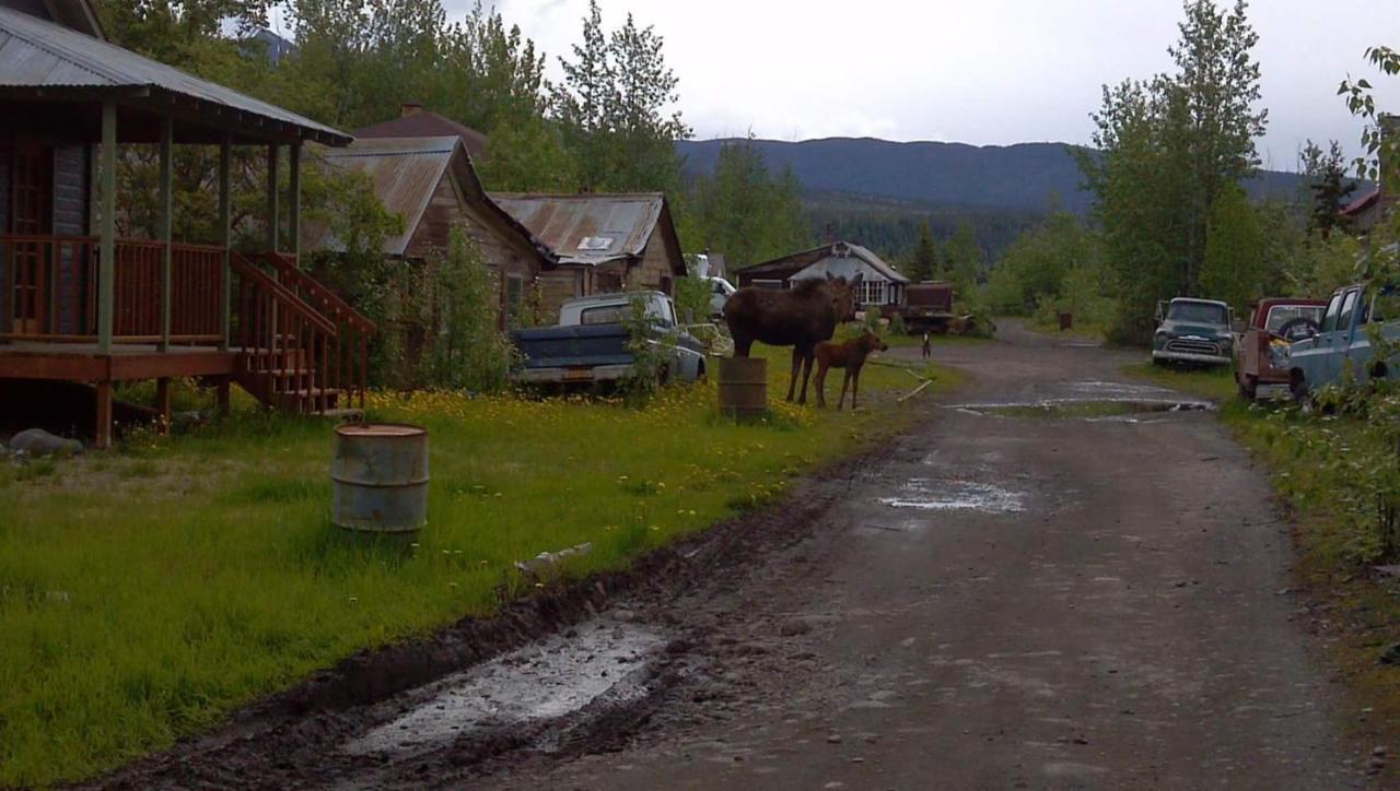Blackburn Cabins - Mccarthy, Alaska Zewnętrze zdjęcie