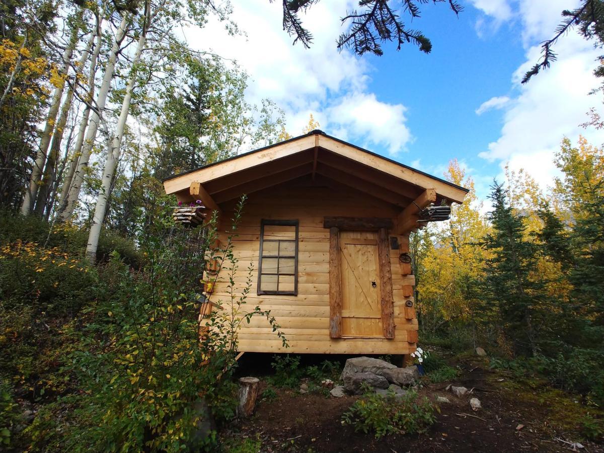 Blackburn Cabins - Mccarthy, Alaska Zewnętrze zdjęcie