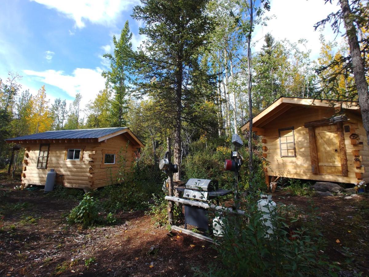 Blackburn Cabins - Mccarthy, Alaska Zewnętrze zdjęcie