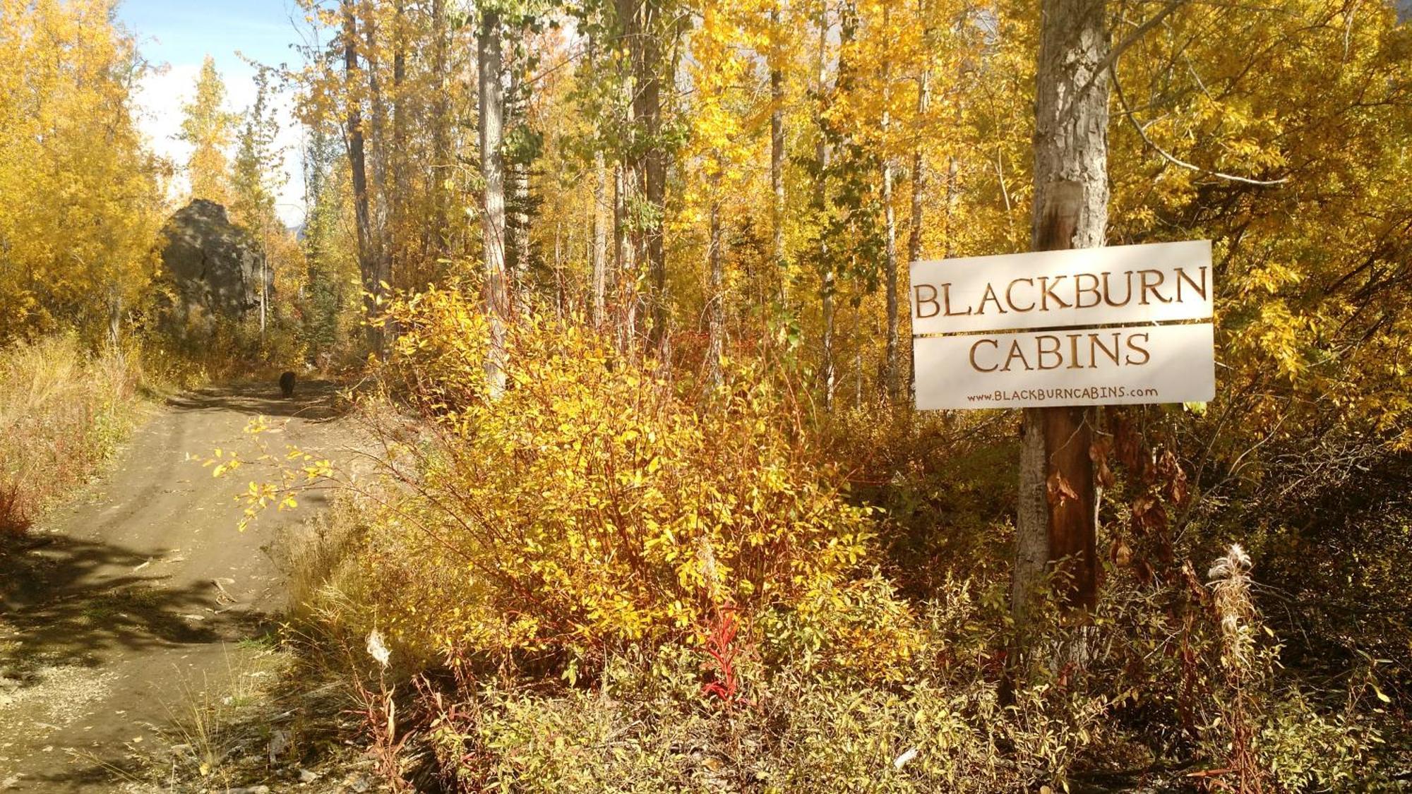 Blackburn Cabins - Mccarthy, Alaska Zewnętrze zdjęcie