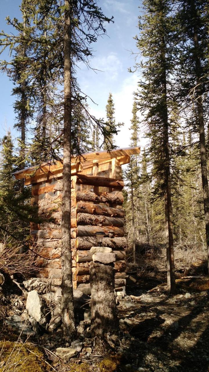 Blackburn Cabins - Mccarthy, Alaska Zewnętrze zdjęcie